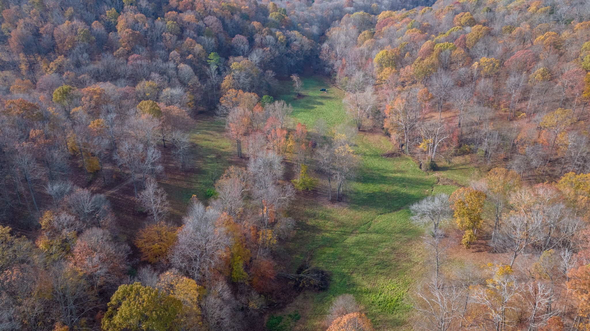 0 Brazier Lane Gallatin, TN 37066 - Photo 7 of 13