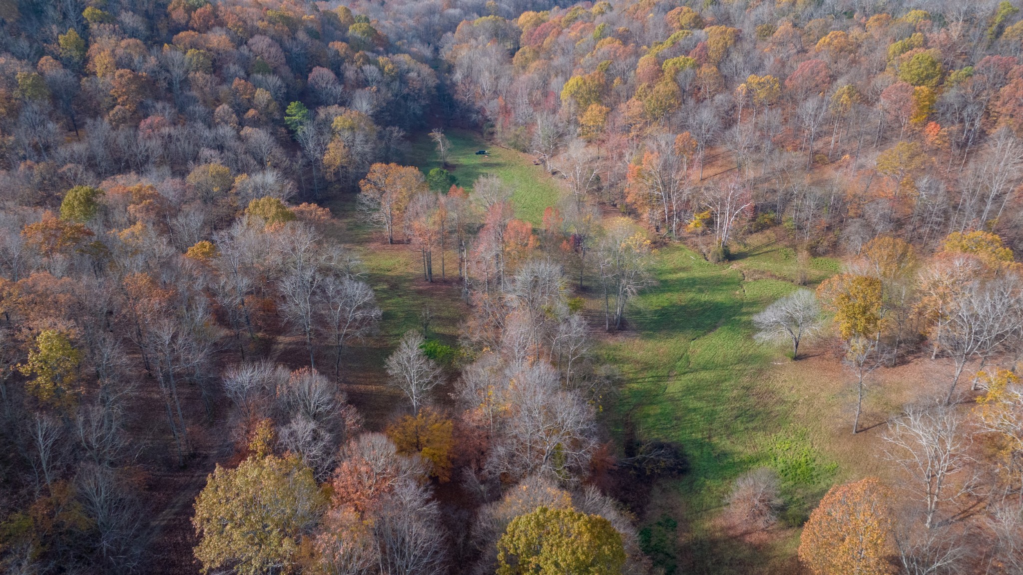 0 Brazier Lane Gallatin, TN 37066 - Photo 8 of 13