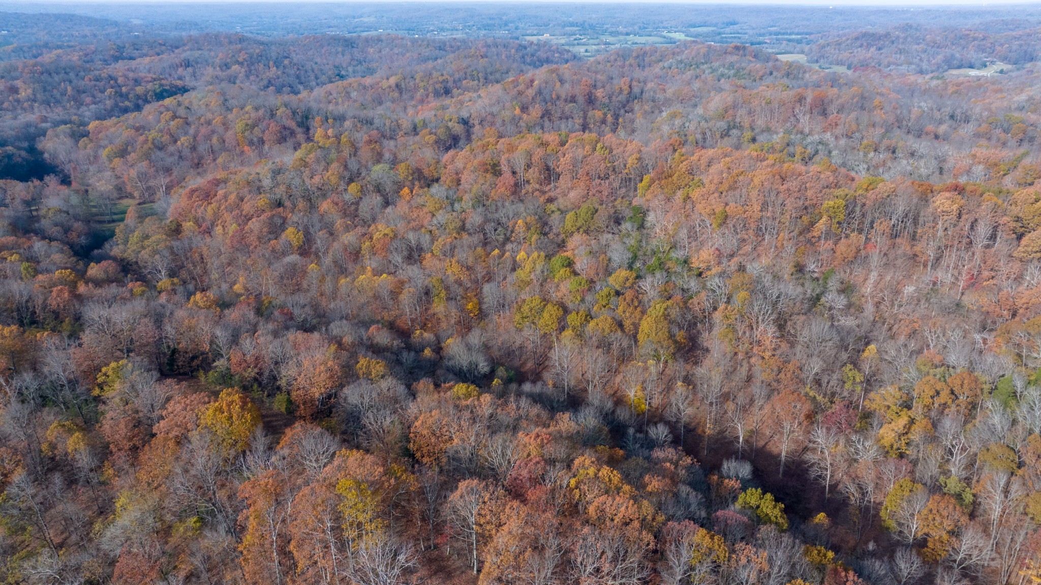 0 Brazier Lane Gallatin, TN 37066 - Photo 9 of 13