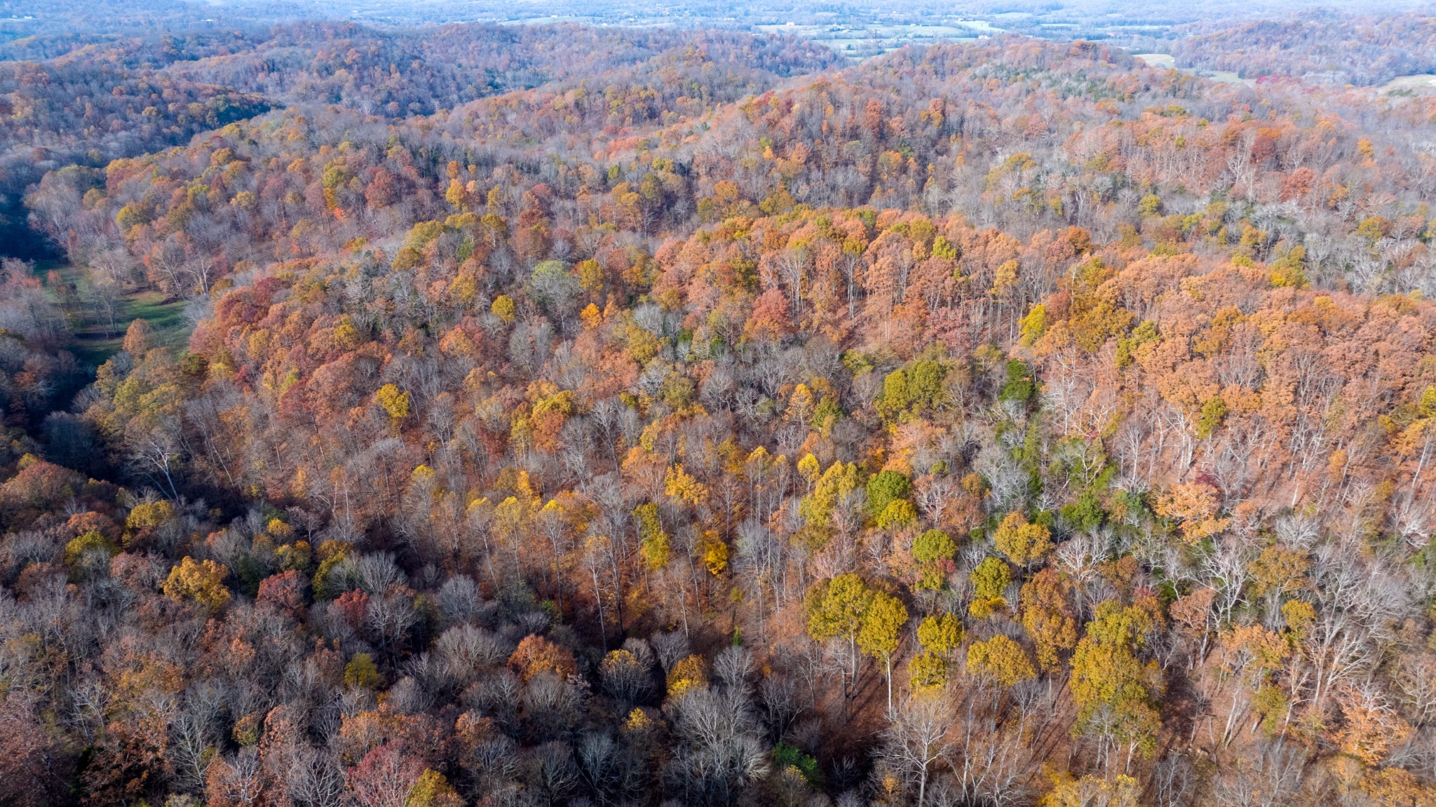 0 Brazier Lane Gallatin, TN 37066 - Photo 10 of 13