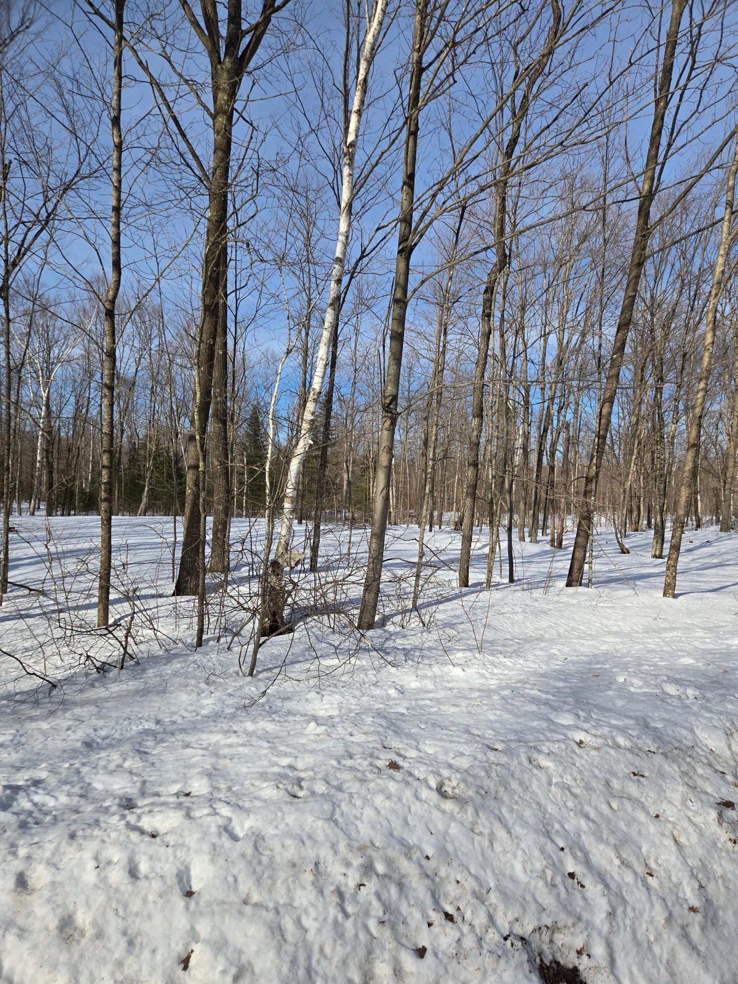 Lot #11 Kentwoods Road Bryant, WI 54418 - Photo 3 of 5 Gallery Image 3