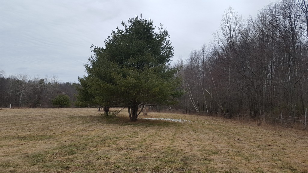 667 Southbridge Road Warren, MA 01585 - Photo 22 of 24 Gallery Image 22