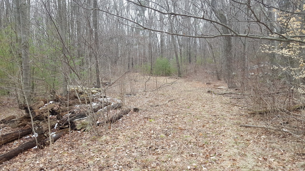 667 Southbridge Road Warren, MA 01585 - Photo 23 of 24 Gallery Image 23