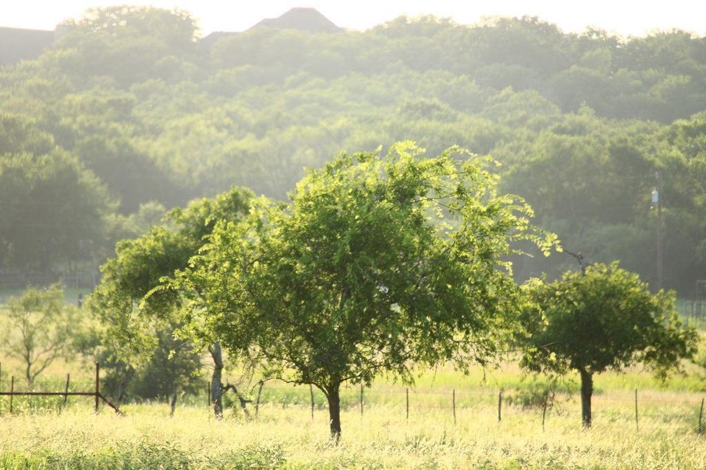 T B D Hayes Road Mineral Wells, TX 76067 - Photo 2 of 10 a view of lake with mountain