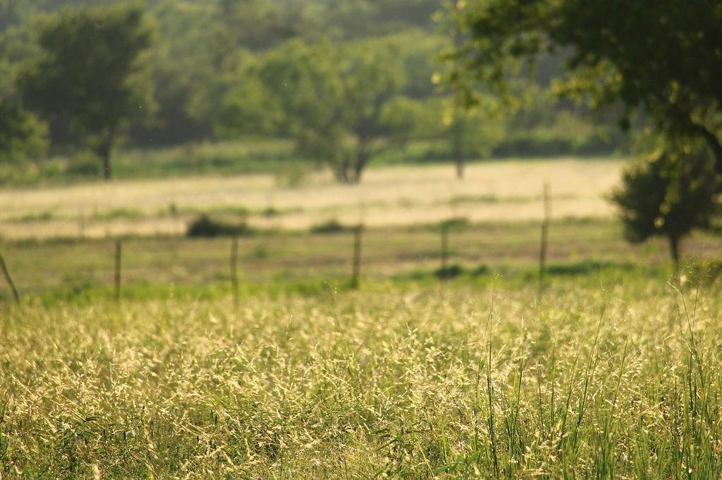 T B D Hayes Road Mineral Wells, TX 76067 - Photo 3 of 10 a view of a lake view