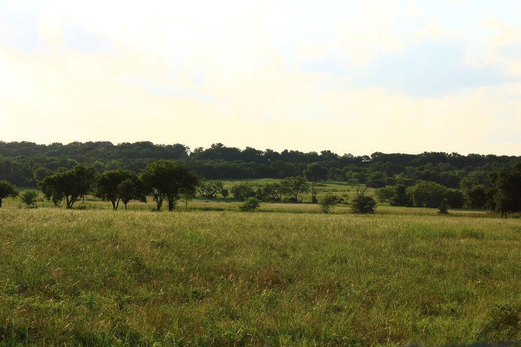T B D Hayes Road Mineral Wells, TX 76067 - Photo 5 of 10 a view of an outdoor space and a yard