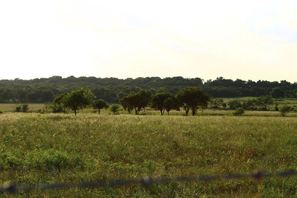 T B D Hayes Road Mineral Wells, TX 76067 - Photo 6 of 10 a view of a lush green field