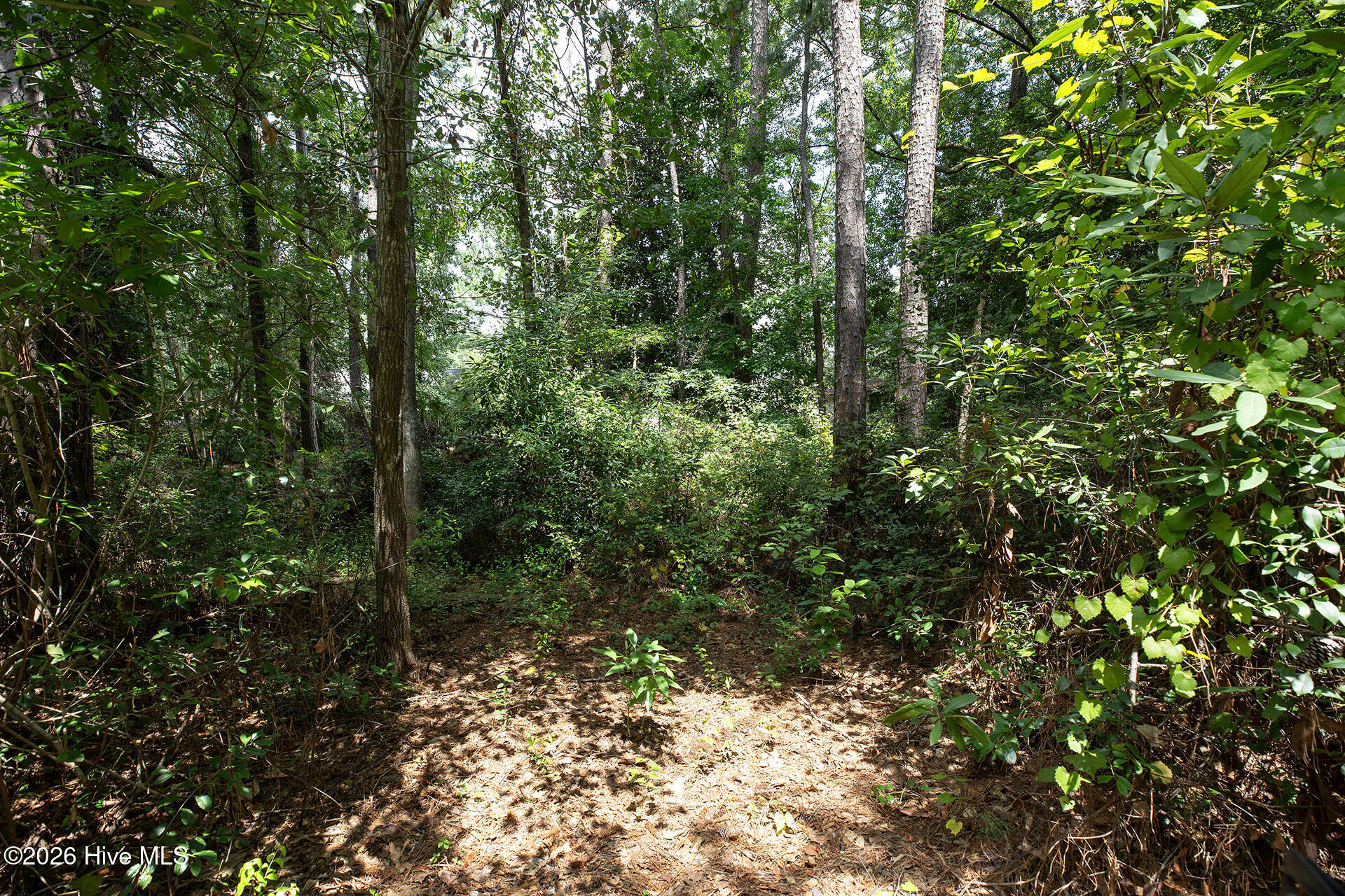 7464 Rye Lane Leland, NC 28451 - Photo 47 of 51 Gallery Image 47