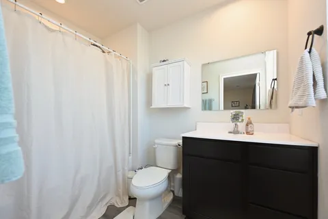 a bathroom with a sink toilet a mirror and shower curtain