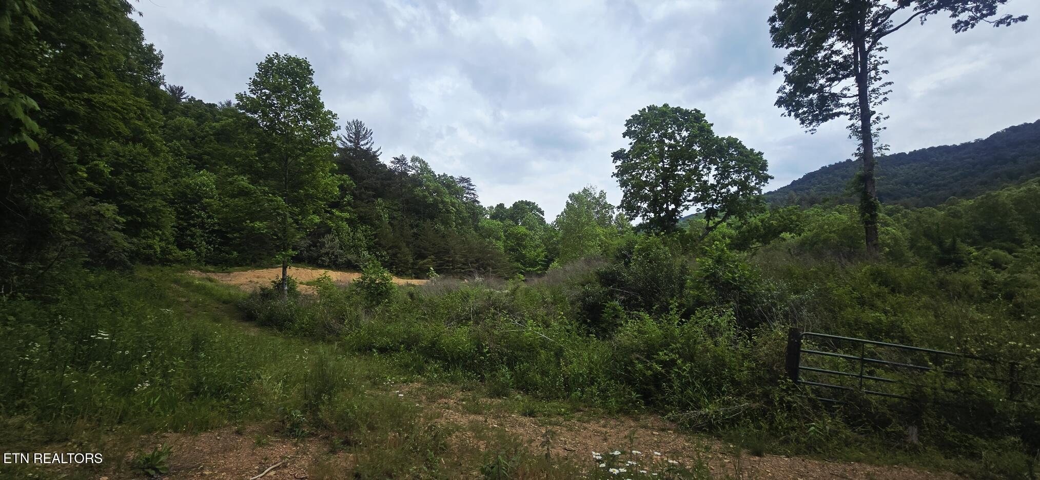 1095 Stanley Creek Road Oneida, TN 37841 - Photo 50 of 57 20260519_114012