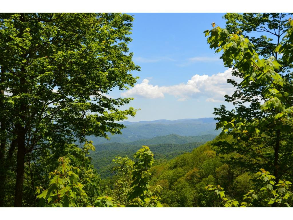1400 Walnut Mountain Road Butler, TN 37640 - Photo 1 of 11 Photo 1