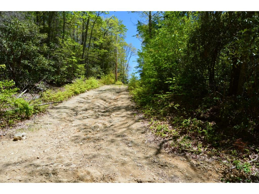 1400 Walnut Mountain Road Butler, TN 37640 - Photo 11 of 11 1st access road