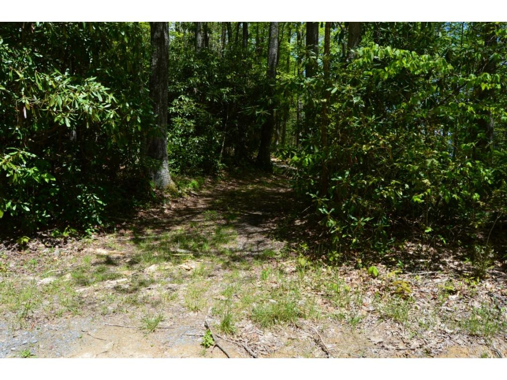 1400 Walnut Mountain Road Butler, TN 37640 - Photo 2 of 11 2nd access rd