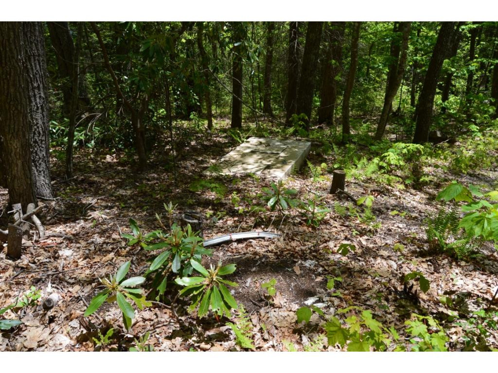 1400 Walnut Mountain Road Butler, TN 37640 - Photo 3 of 11 septic