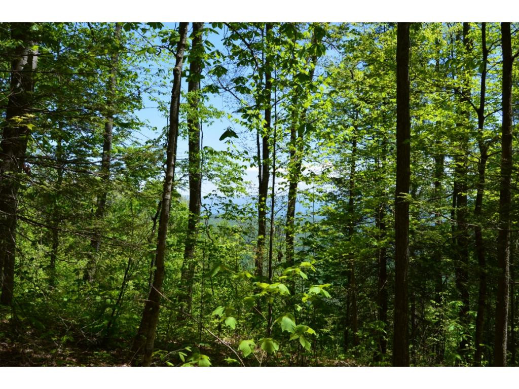 1400 Walnut Mountain Road Butler, TN 37640 - Photo 5 of 11 wooded view