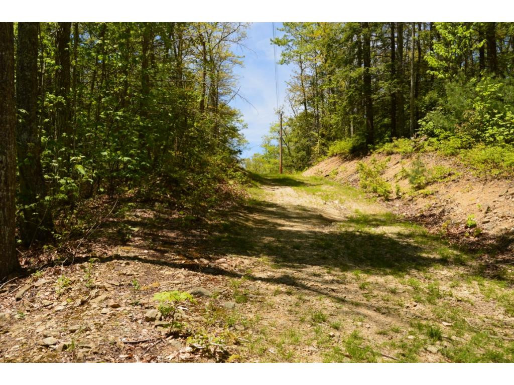 1400 Walnut Mountain Road Butler, TN 37640 - Photo 8 of 11 1st access road