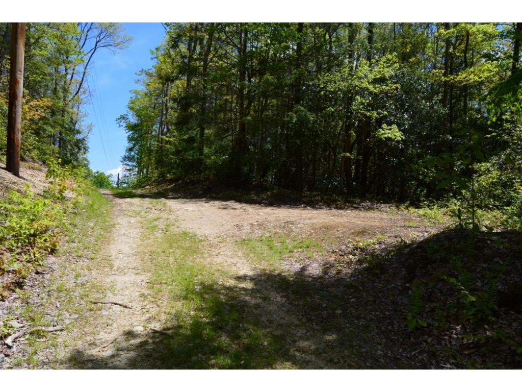 1400 Walnut Mountain Road Butler, TN 37640 - Photo 10 of 11 1st access road