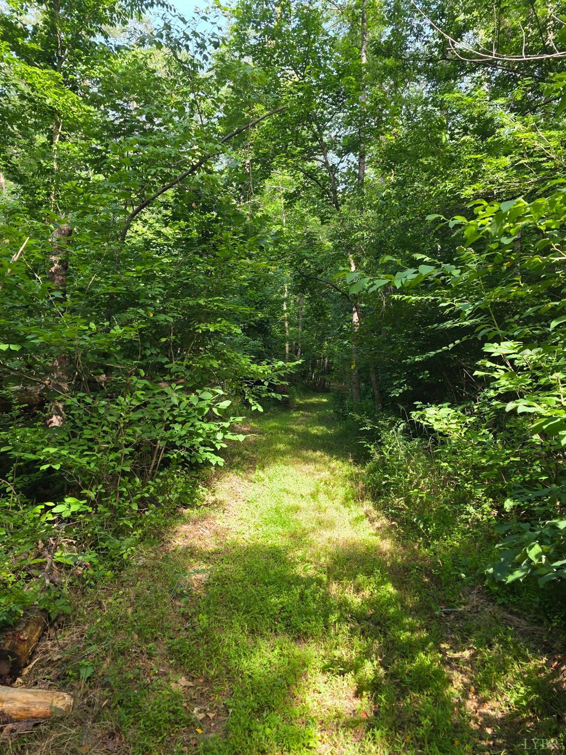 1408 Coleman Mountain Road Appomattox, VA 24522 - Photo 82 of 85