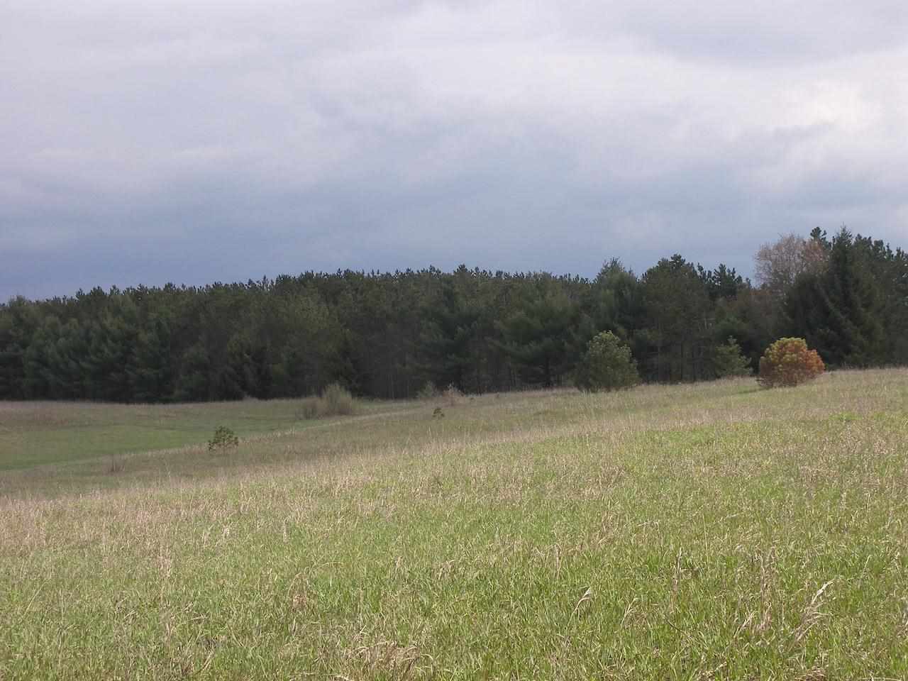 12426 South Maple City Road Maple City, MI 49664 - Photo 93 of 98 1889228-92.JPG