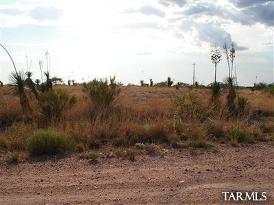 0 North Warren Road Benson, AZ 85602 - Photo 2 of 4