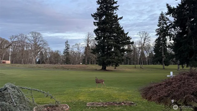 a kitchen with stainless steel appliances kitchen island granite countertop a stove and a refrigerator