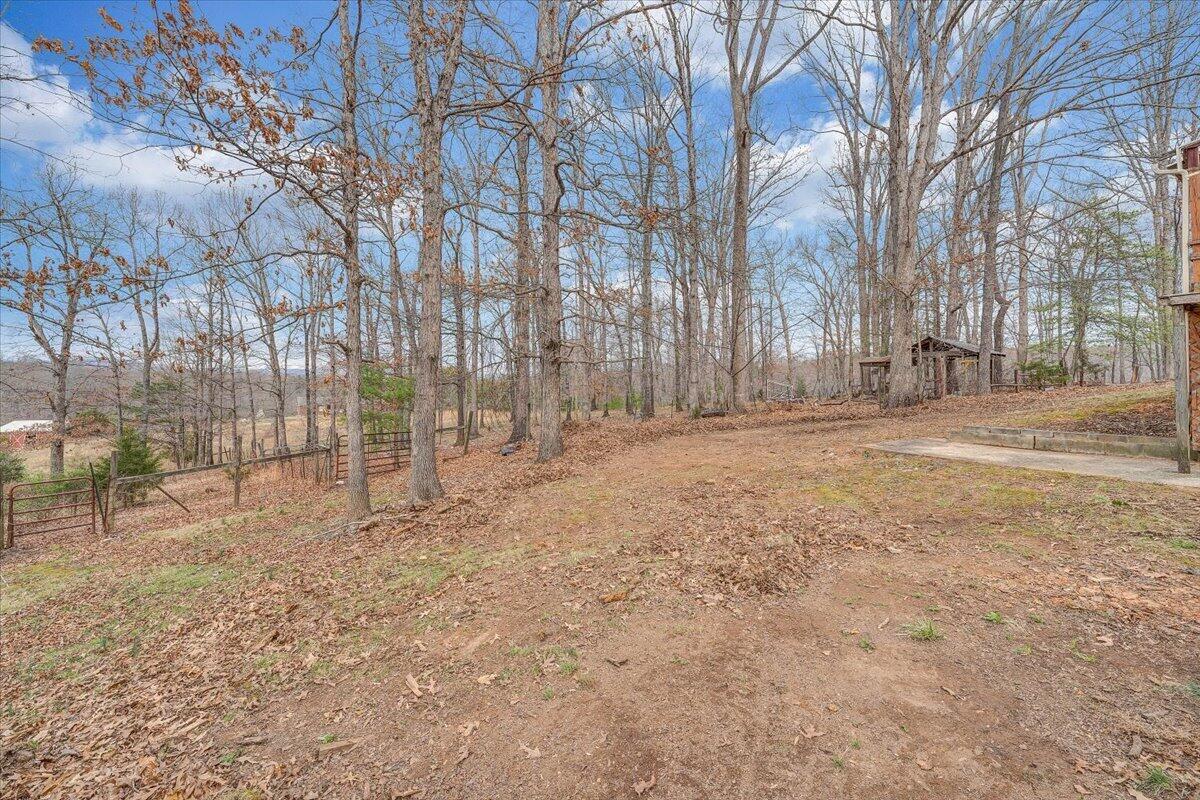 8793 Dickerson Mill Road Moneta, VA 24121 - Photo 39 of 50 53-MIB05914