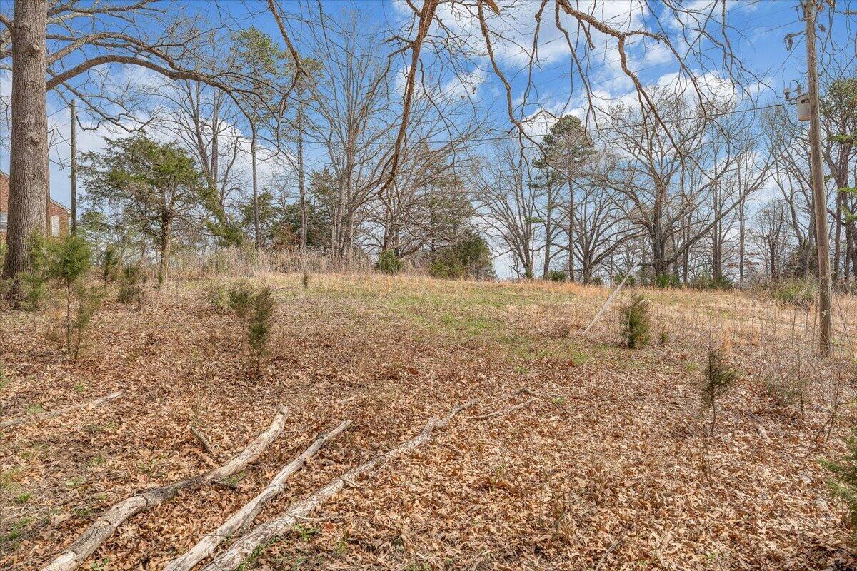 8793 Dickerson Mill Road Moneta, VA 24121 - Photo 40 of 50 54-MIB05932