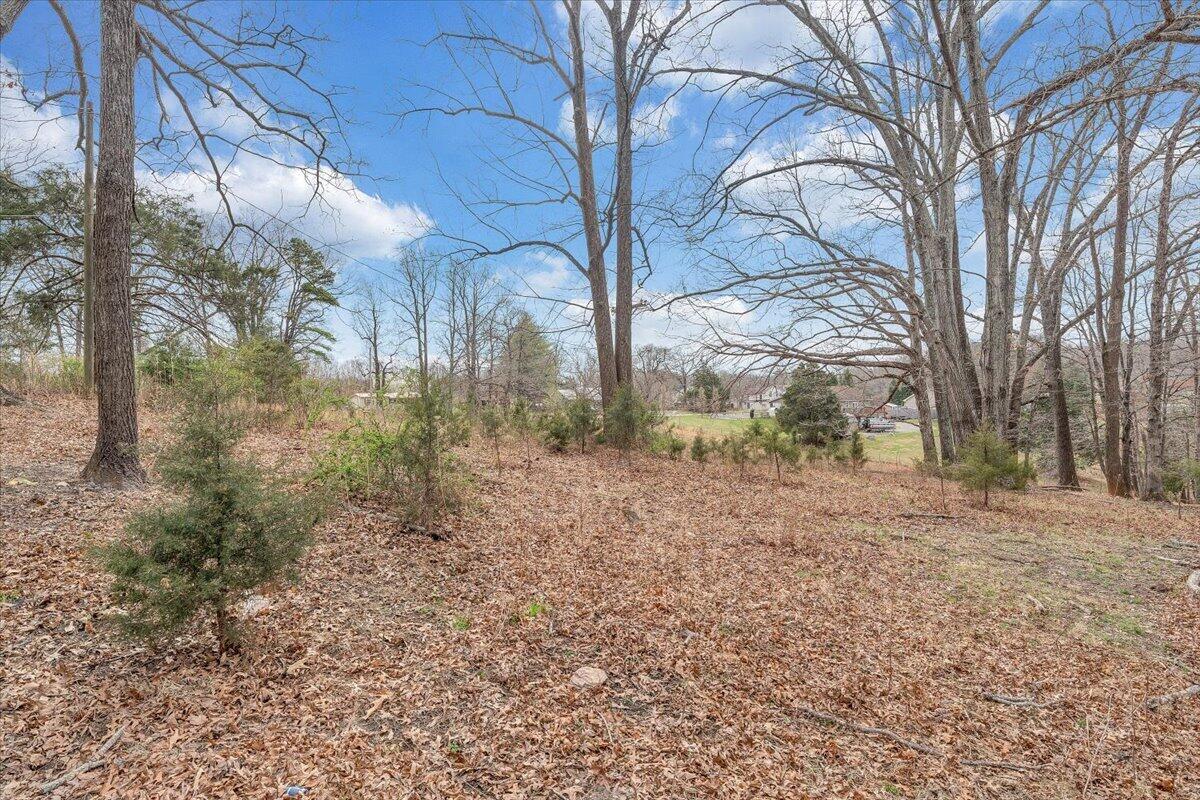 8793 Dickerson Mill Road Moneta, VA 24121 - Photo 42 of 50 56-MIB05938