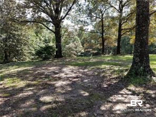 4165 Walker Springs Road Grove Hill, AL 36451 - Photo 10 of 12