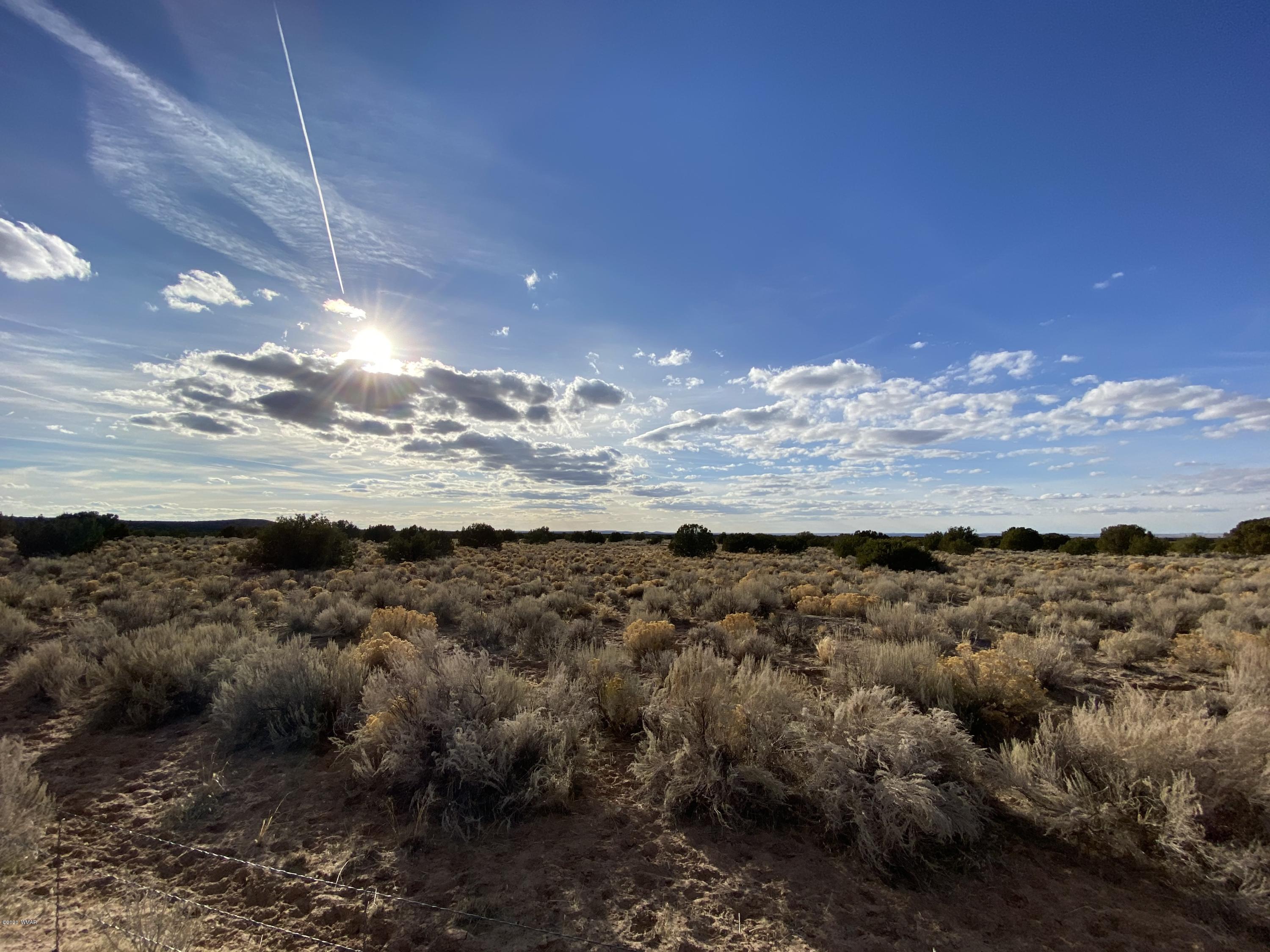 7230 Sanders Az 86512 Chambers, AZ 86502 - Photo 5 of 17