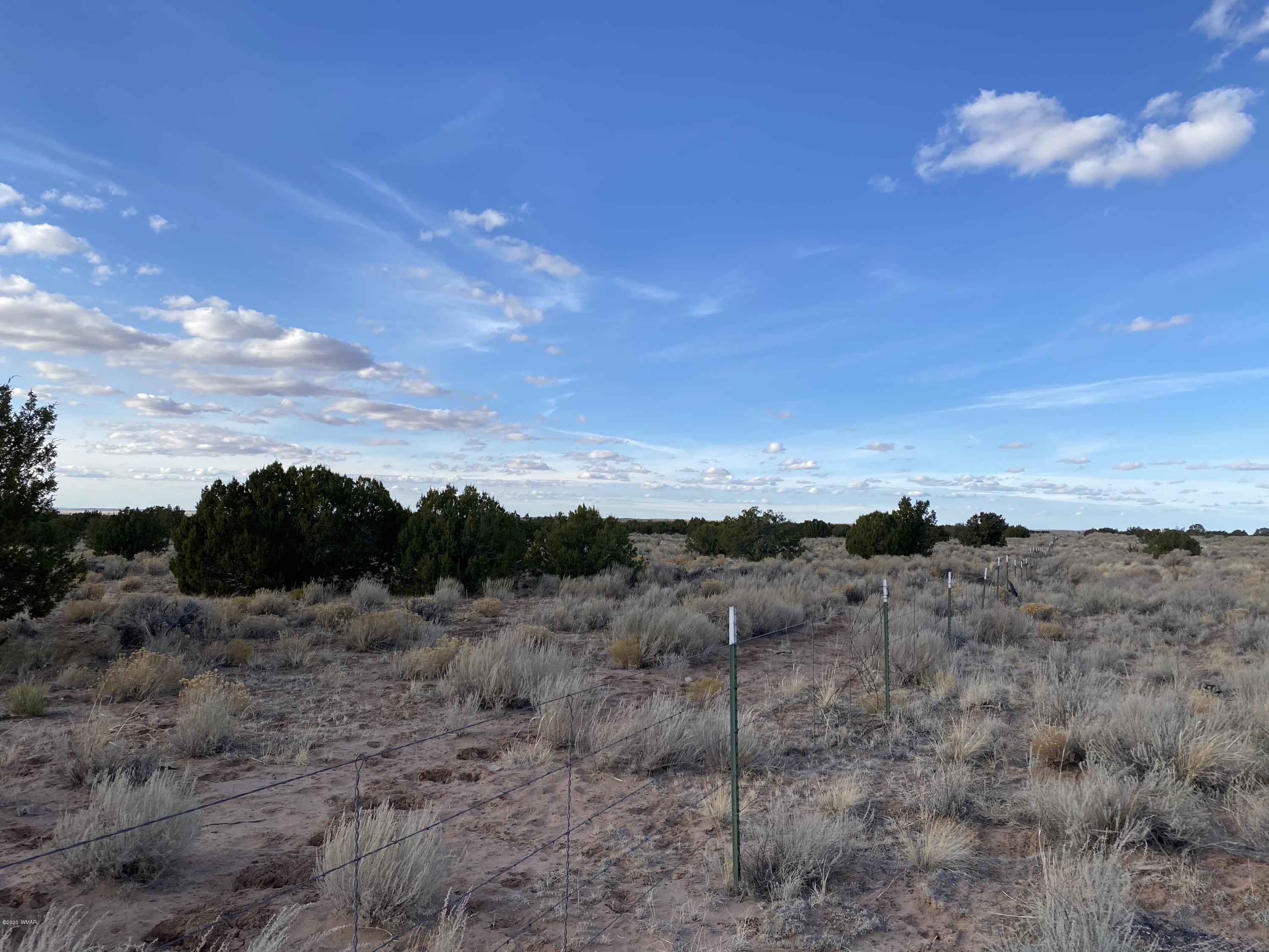 7230 Sanders Az 86512 Chambers, AZ 86502 - Photo 8 of 17