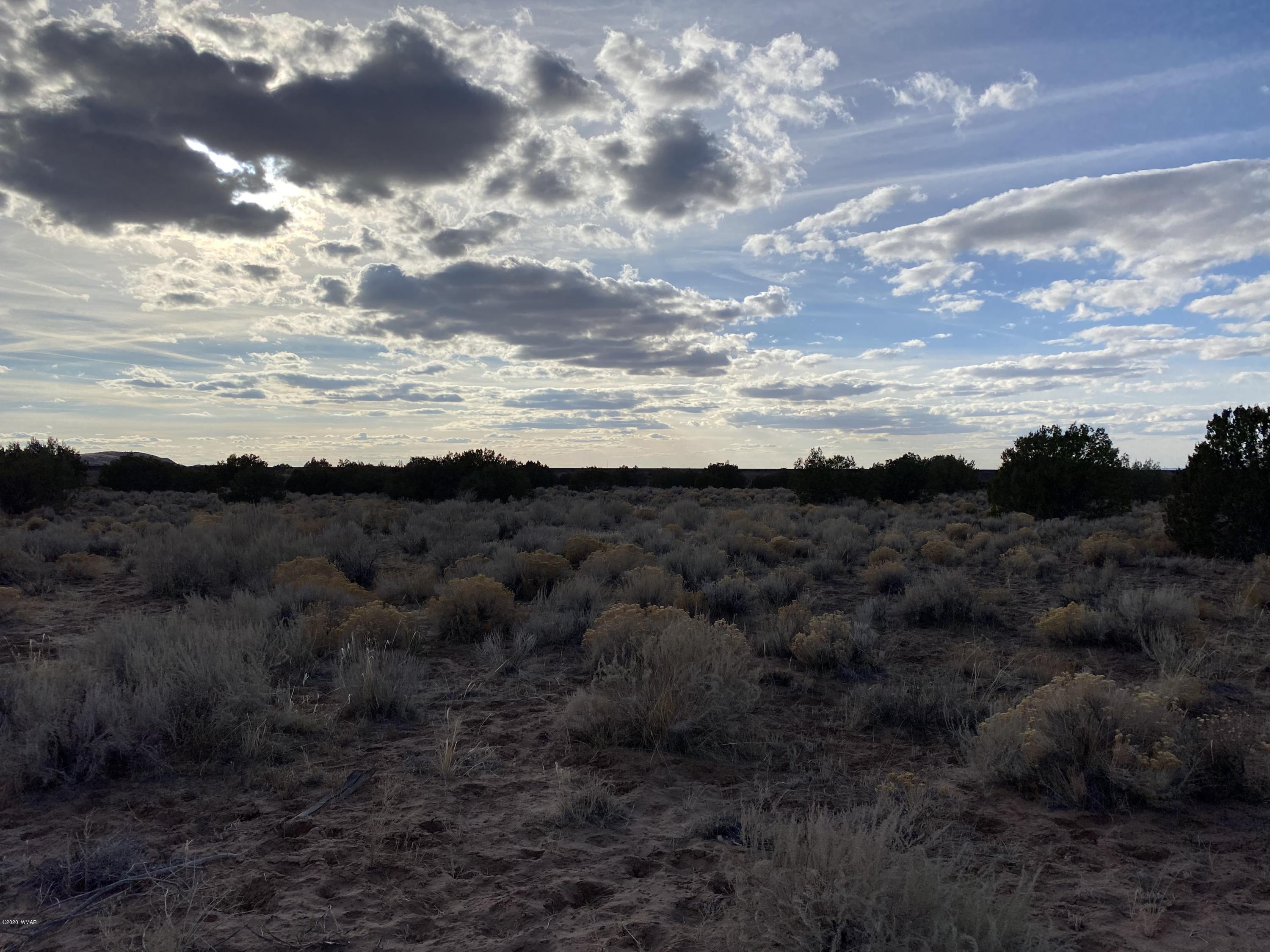 7230 Sanders Az 86512 Chambers, AZ 86502 - Photo 9 of 17
