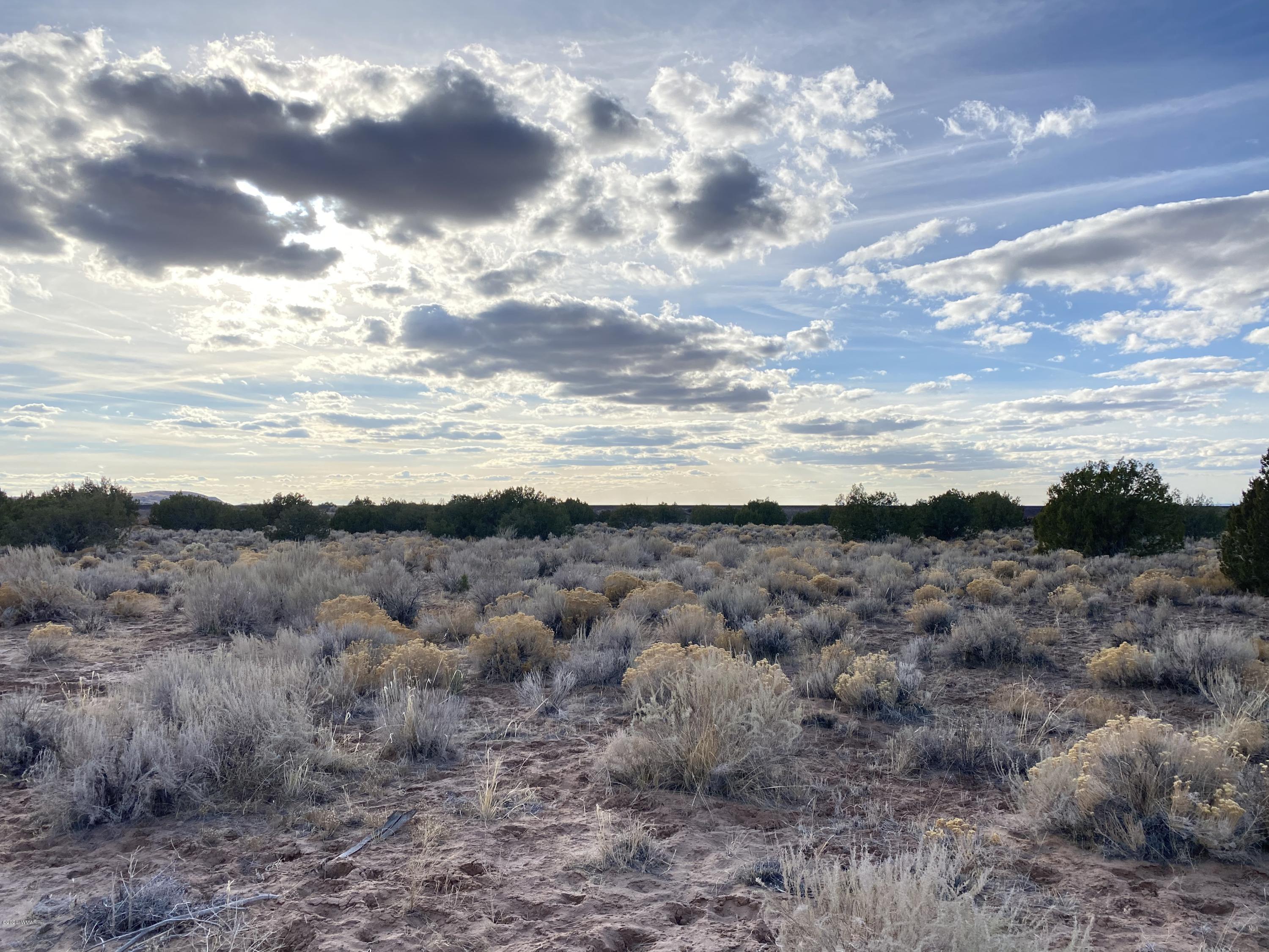 7230 Sanders Az 86512 Chambers, AZ 86502 - Photo 10 of 17