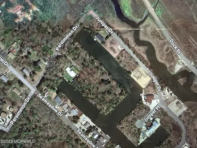 a picture of flowers