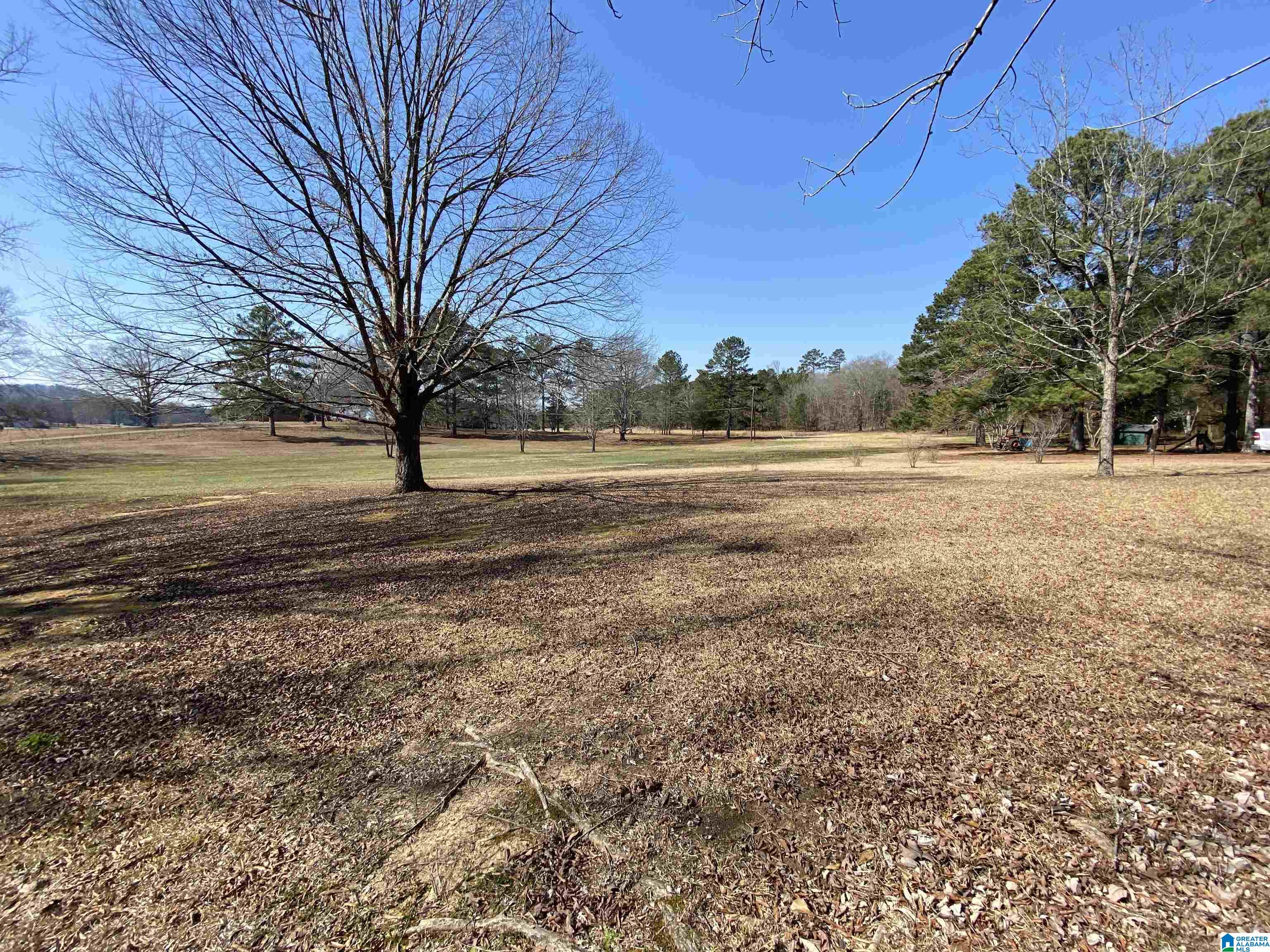 1272 Kirby Road Oxford, AL 36203 - Photo 43 of 45