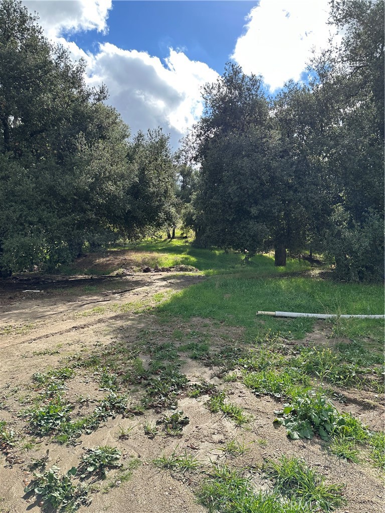 34930 East Benton Road Hemet, CA 92544 - Photo 37 of 54 View of parcel.