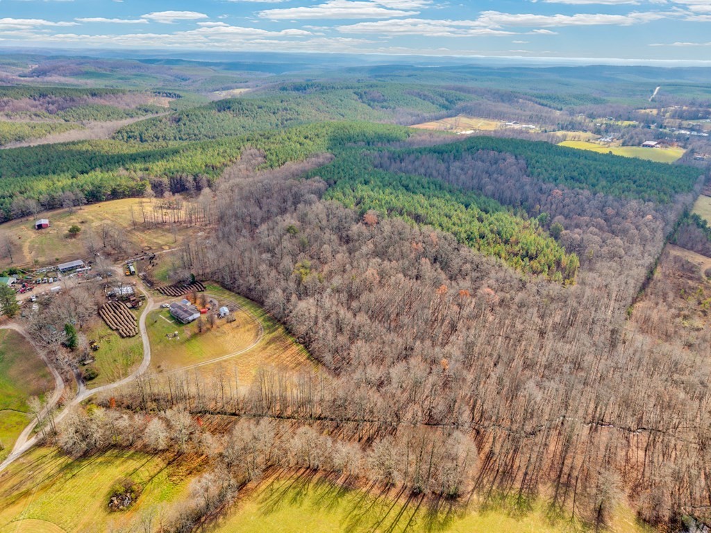 170 Perrigan Lane Sparta, TN 38583 - Photo 26 of 27 a view of a yard with an outdoor space