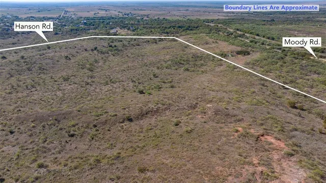 a view of a yard with a dry plant