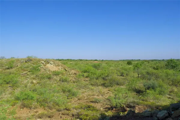 a view of a yard with an tree