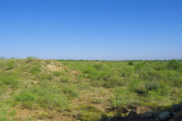 a view of a yard with an tree