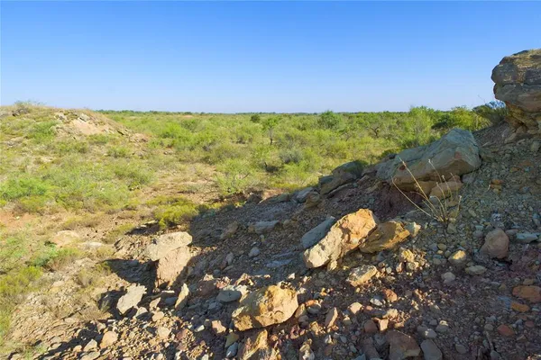 a view of a bunch of flowers