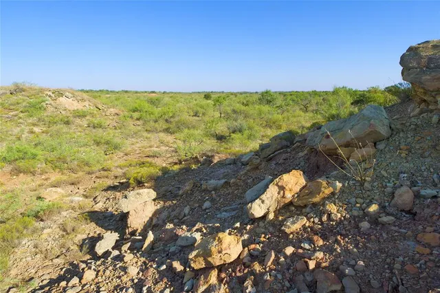 a view of a bunch of flowers