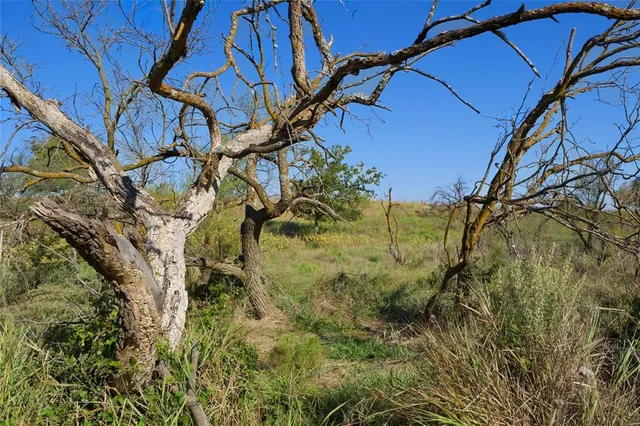 a view of a lake with houses in the back
