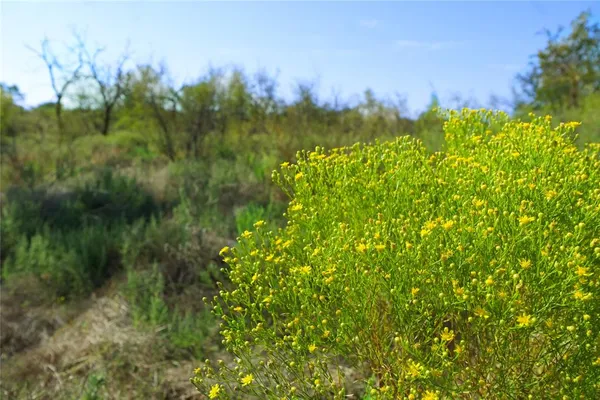 a view of a lake and green valley