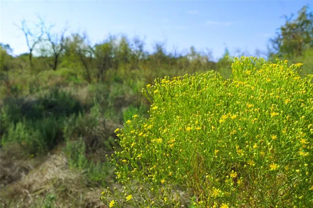 a view of a lake and green valley