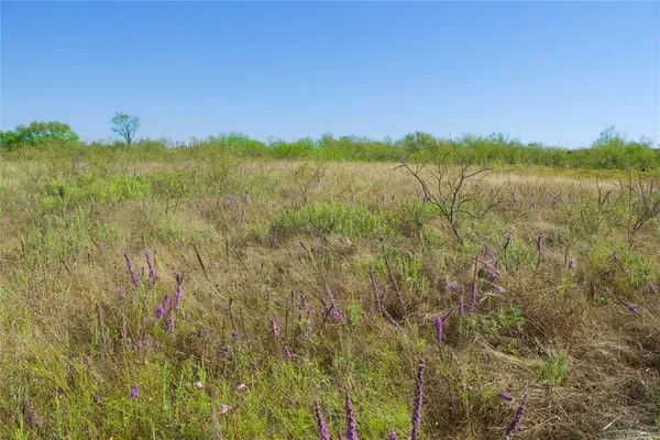 a view of a dry yard with mountain