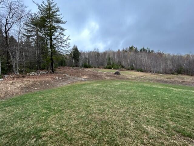 533 Pendexter Road Parsonsfield, ME 04047 - Photo 9 of 40 Yard