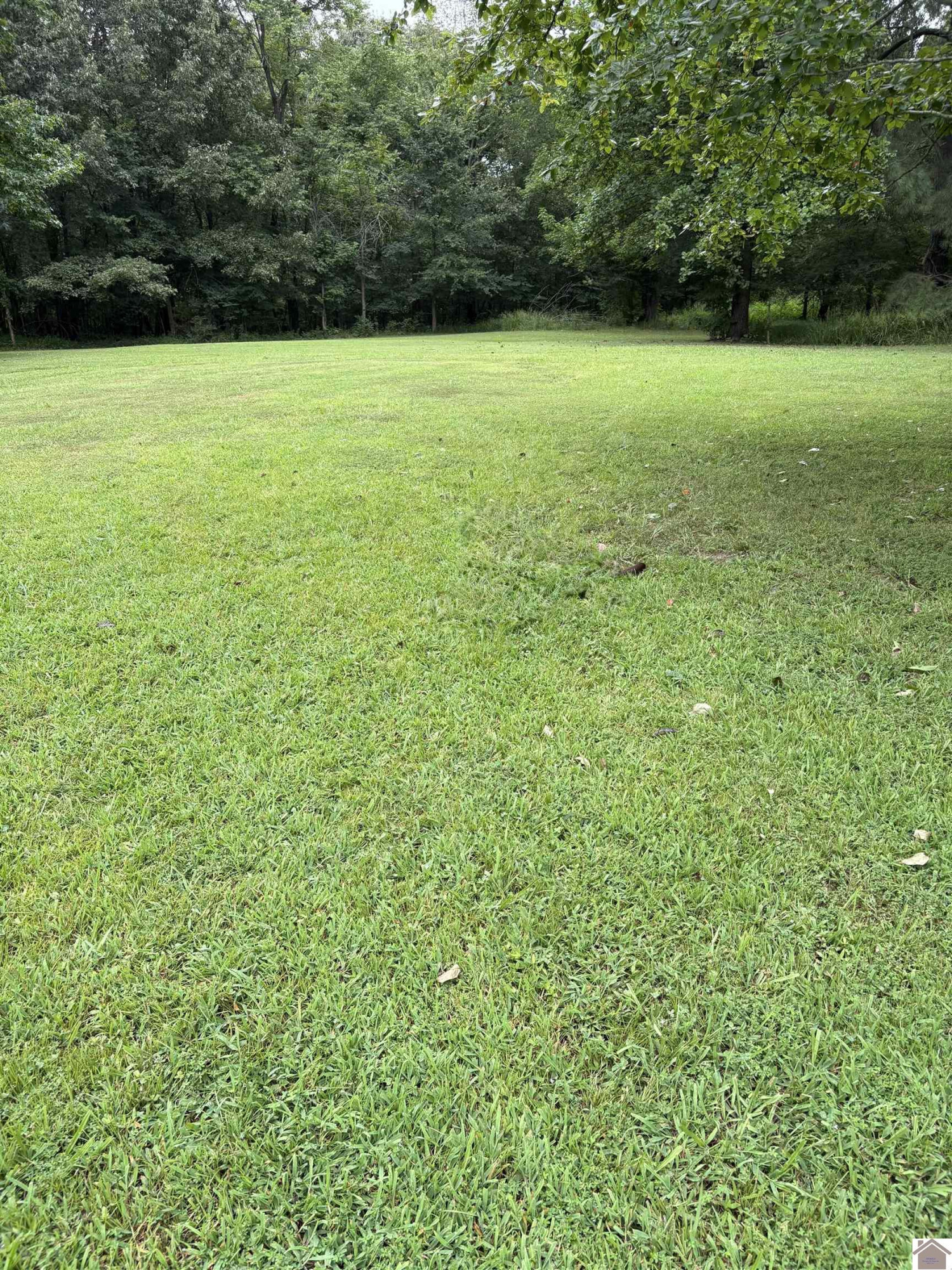 0 Houser Road Boaz, KY 42027 - Photo 1 of 2 Photo 1