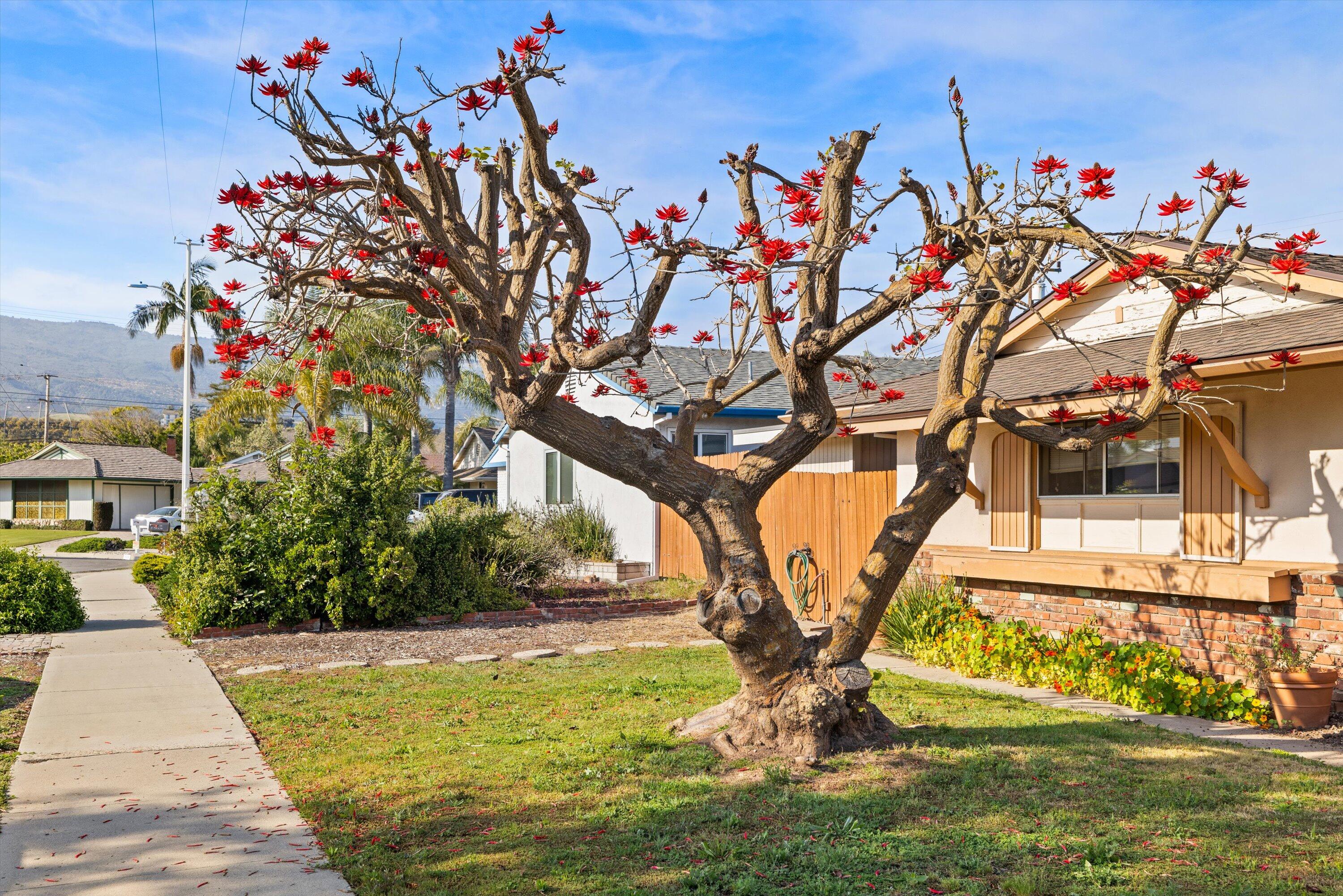 530 Dalton Way Goleta, CA 93117 - Photo 29 of 33 31-7L5A0175