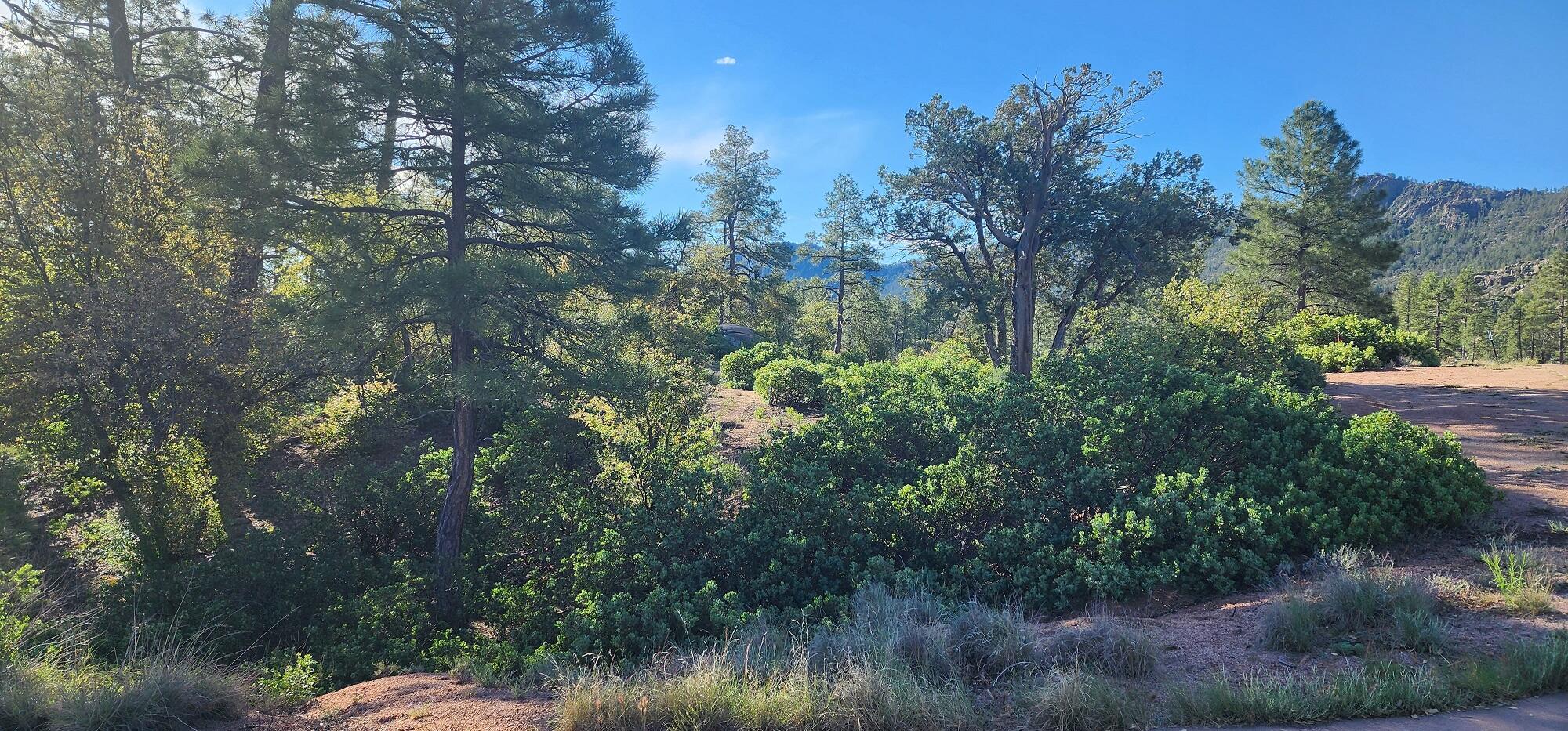 -- East Phoenix Street Payson, AZ 85541 - Photo 3 of 17